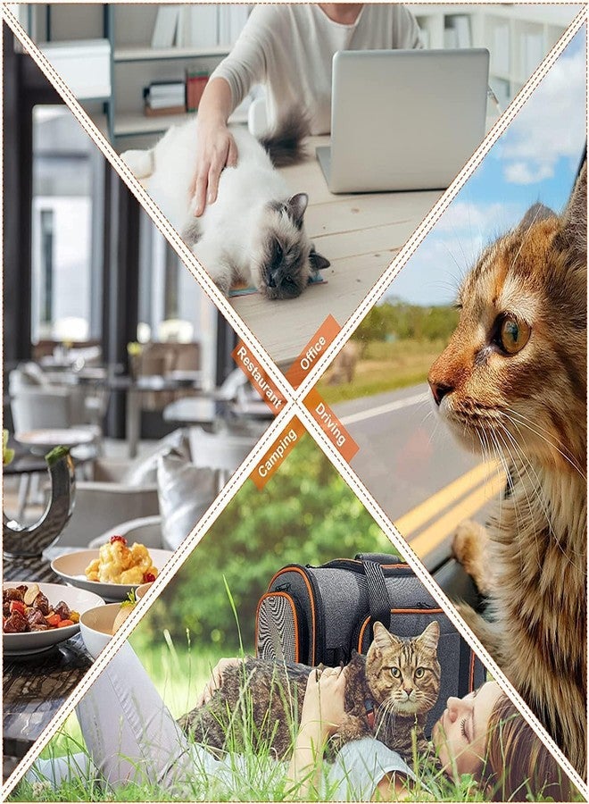 Dratal Cat Carrier, Airline Approved Pet, Portable Dog Bag, Breathable Small Travel Cage with Adjustable Shoulder Strap,(Grey - 43 * 28 * 28 CM) - Image 4